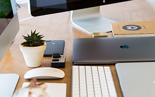 2500人挤爆小球馆！樊振东凭啥比万名球迷涌德甲足球还疯？